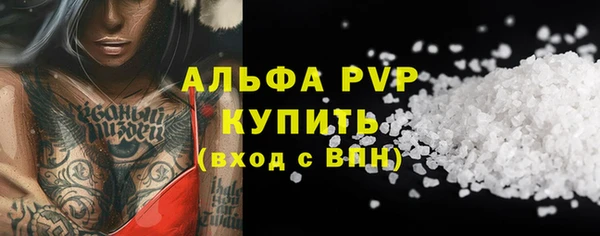 МДПВ Каменка