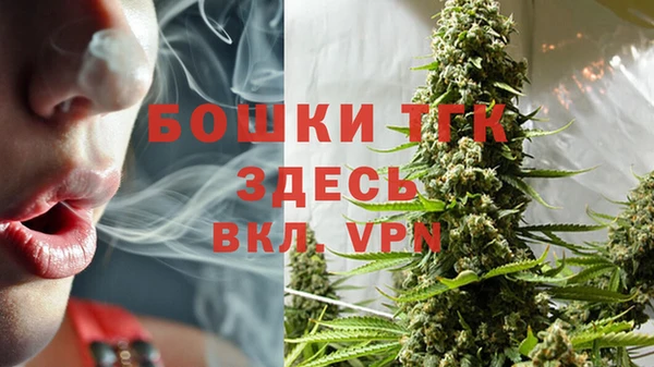 МДПВ Каменка