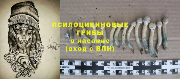 МДПВ Каменка