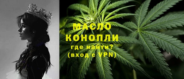 МДПВ Каменка