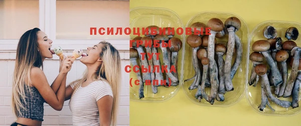 МДПВ Каменка